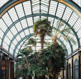 Indoor fountain